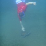 Olivier et la tortue